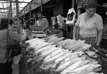 Iconographie - Ploesti - Le marché aux légumes