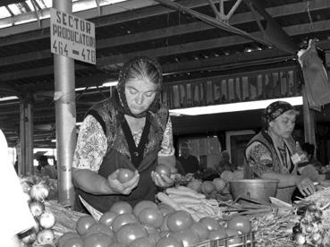 Iconographie - Ploesti - Le marché aux légumes