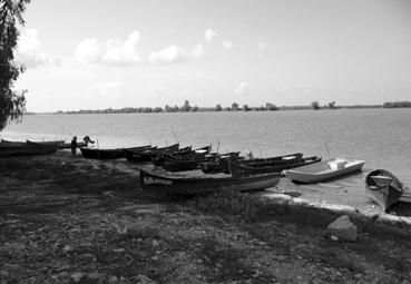 Iconographie - Nufaru - Barques traditionnelles du Danube