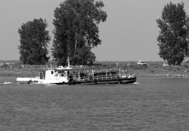 Iconographie - Nufaru - Bateau navette sur le Danube