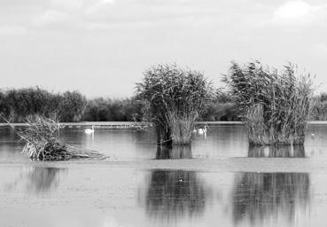 Iconographie - Babagad - Le lac Razim