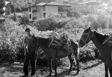 Iconographie - Pamporovo - Départ de chevaux bâtés