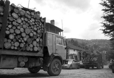 Iconographie - Kovaceciva - Transport de grûmes de bois