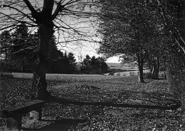 Iconographie - La Boissière, vue du parc