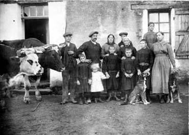 Iconographie - Famille posant avec paire de boeufs