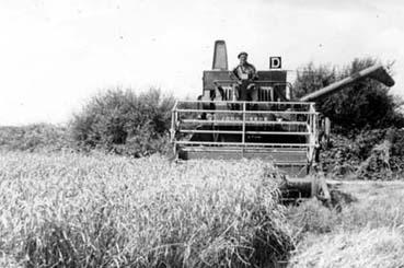 Iconographie - Moissons avec moissonneuse-batteuse "John Deere"