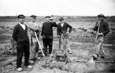 Iconographie - Hommes posant lors de plantations de vignes