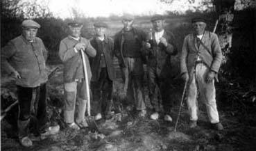 Iconographie - Hommes posant lors de plantations de vignes