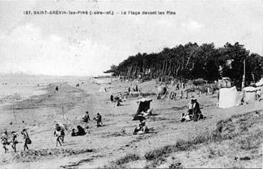 Iconographie - La plage devant les pins