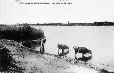 Iconographie - Paysages de Loire-Inférieure - Au bord de la Loire