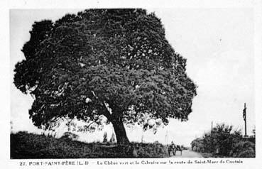Iconographie - Le Chêne vert et le calvaire sur la route de Saint-Marc de Coutais