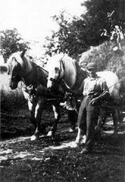 Iconographie - Pose devant une charrette de foin tirée par une paire de chevaux