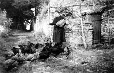 Iconographie - Hélène Moreau, de La Budorière, donnant à manger à ses poules