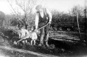 Iconographie - Vieil homme semant des pommes de terre