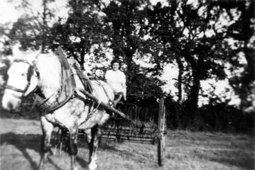 Iconographie - Rateau mécanique attelé à un cheval