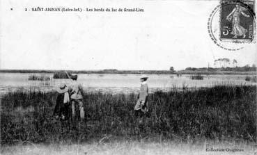 Iconographie - Les bords du lac de Grand-Lieu