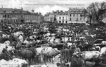 Iconographie - Place de la Motte, un jour de marché