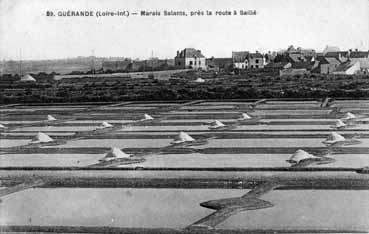 Iconographie - Marais salants, près la route à Saillé