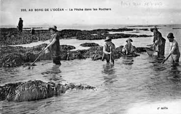 Iconographie - Au bord de l'océan - La pêche dans les rochers