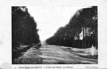 Iconographie - L'allée des Sapins. Les chalets