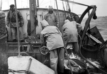 Iconographie - Marins à bord d'un chalutier