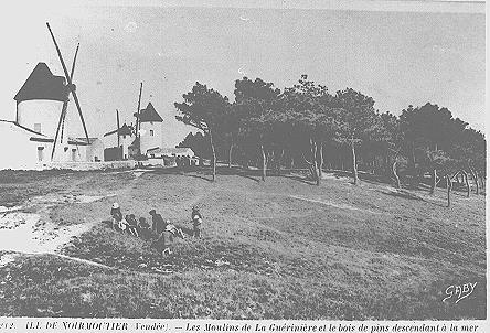 Iconographie - Les moulins de la Guérinière et le bois de pins…