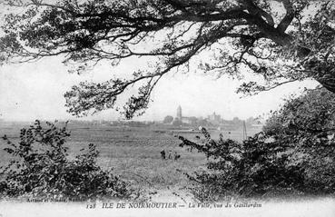 Iconographie - La ville, vue du Gaillardin