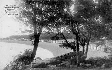 Iconographie - La plage du sous-bois des Dames