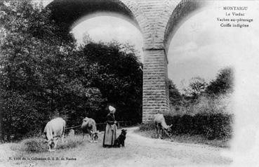 Iconographie - Le viaduc - Vaches au pâturage - Coiffe indigène