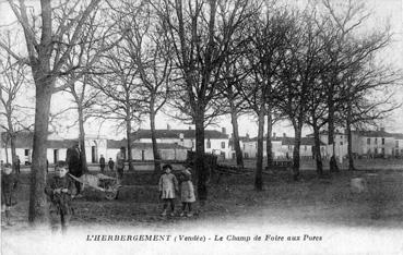 Iconographie - Le champ de foire aux porcs