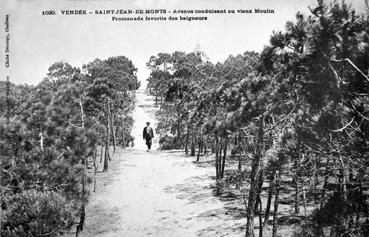 Iconographie - Avenue conduisant au vieux moulin - Promenade favorite des baigneurs