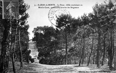 Iconographie - La dune - Allée conduisant au Moulin-Cassé