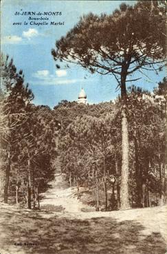 Iconographie - Sous-bois avec la Chapelle Martel