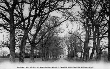 Iconographie - L'avenue du château des Granges-Cathus