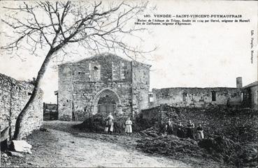Iconographie - Ruines de l'abbaye de Trizay,