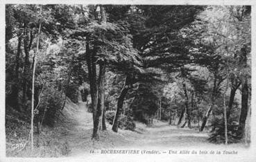 Iconographie - Une allée du Bois de la Touche