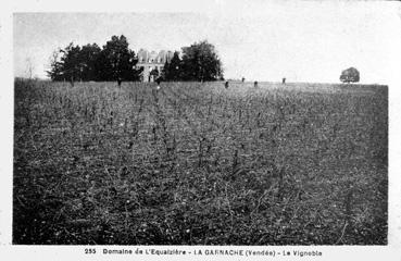 Iconographie - Domaine de l'Equaizière - Le vignoble