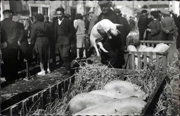 Iconographie - Le marché aux cochons