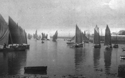 Iconographie - Barques de pêche au port