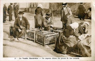 Iconographie - La Vendée Maraîchine - Do cageots létian fin pleins de bia canards