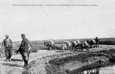 Iconographie - Convois de sel et vérification par les douanes