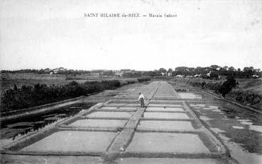 Iconographie - Marais salant