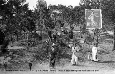 Iconographie - Dans la douce atmosphère de la forêt de pins