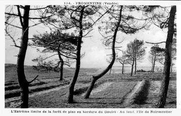 Iconographie - L'extrême limite de la forêt en bordure du goulet