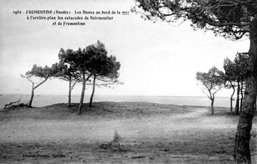 Iconographie - Fromentine - Les dunes au bord de la mer