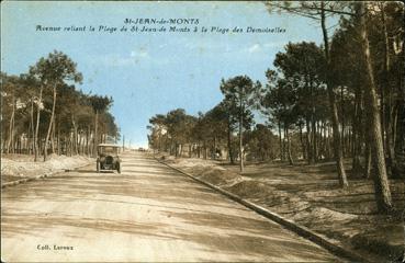 Iconographie - Avenue reliant la plage de St Jean de Monts à plage des Demoiselles 