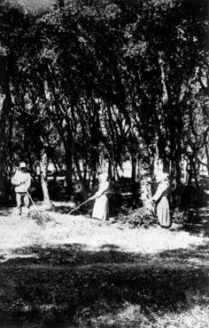 Iconographie - Travaux dans le Bois de la Chaize