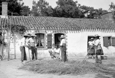 Iconographie - Reconstitution de battage - Ferme des Fontenelles