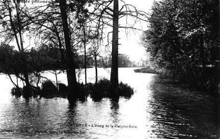 Iconographie - L'étang de la Guignardière