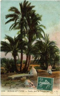 Iconographie - Tombes dans les palmiers-dattiers